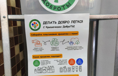 Пункт сбора №4042, ГБОУ СОШ № 490 с углубленным изучением иностранных языков, ( Новочеркасский пр. д.50 корпус 3 лит А) picture 14
