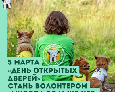 Анонс мероприятия от Экодвижение «Мусора.Больше.Нет», СПб и ЛО pic 0
