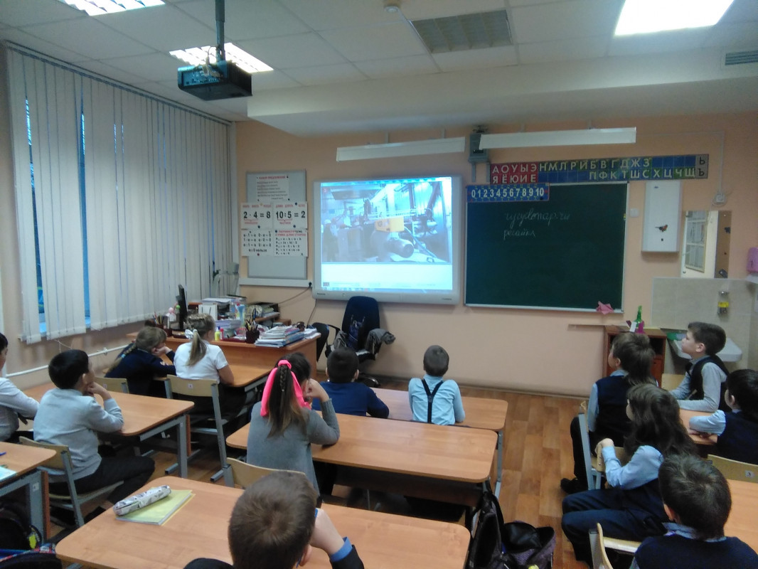 Последние осенние уроки от Экодвижения «Мусора.Больше.Нет»  pic 5