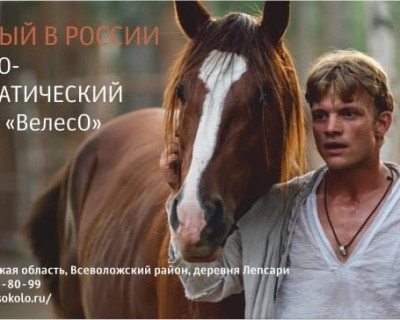 Ни одно наше мероприятие не проходит без поддержки многолетних друзей и партнеров. И мы снова с удовольствием рассказываем вам о Конно-драматическом театре "ВелесО". pic 4