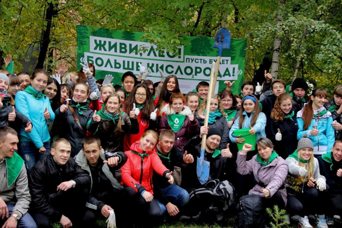 Во Всероссийский день посадки леса 22 мая в Кингисеппском районе состоится посадка 10 000 деревьев на территории Тикописского участкового лесничества. Любой желающий может посадить сотню сосен для восстановления леса.  pic 0